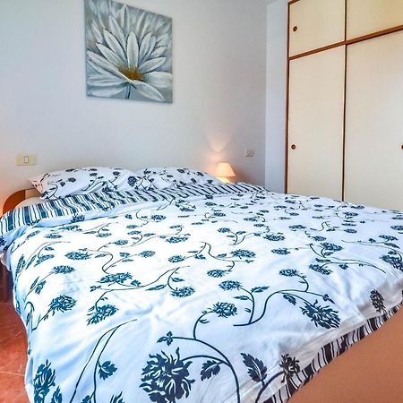Moreri Garden Novigrad  Bagian luar foto